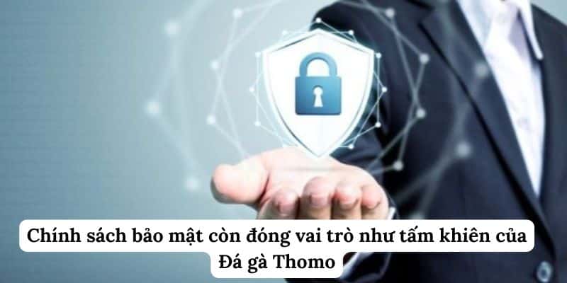 Chính sách bảo mật còn đóng vai trò như tấm khiên của Đá gà Thomo 